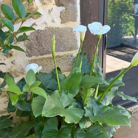 4, Domaine Logis Gascogne