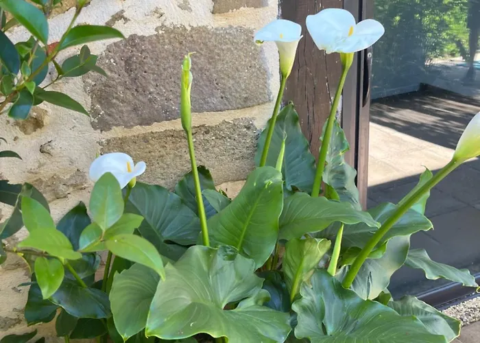 4, Domaine Logis Gascogne